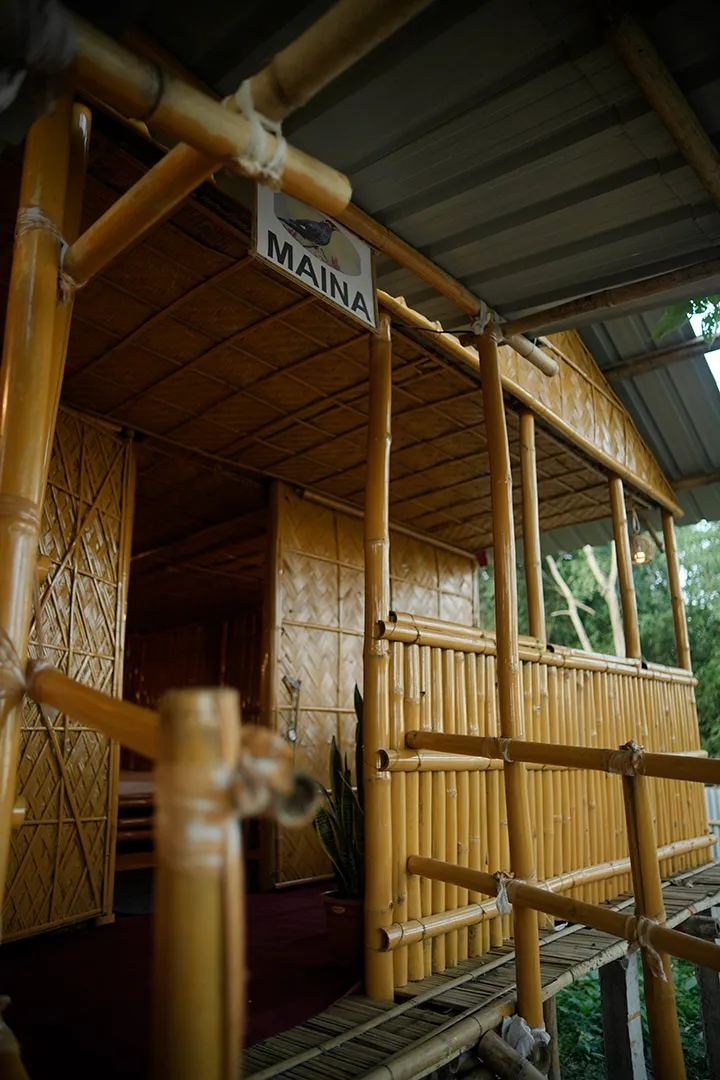 Dodo's Bamboo Resort View 5